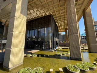 Network Space to Let - 24 Owl Street, Auckland Park, Johannesburg