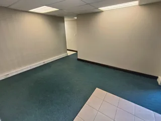 NELSON STREET | PRESTINE COMMERCIAL HOUSE | GOODWOOD | 329m²