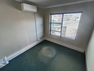 NELSON STREET | PRESTINE COMMERCIAL HOUSE | GOODWOOD | 329m²