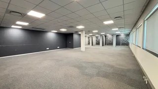 A-Grade Office Space to Let – 41 Scott Street, Waverley, Johannesburg