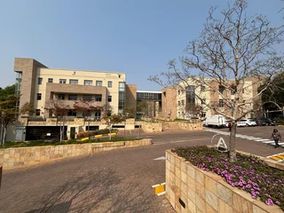 Office Space for Lease - 24 Fricker Road, Illovo, Sandton