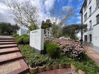 64m² Office To Let in Tyger Valley - Natural light