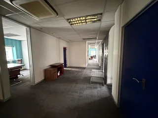 Prime 334m² Office Space to Let - 8 Kikuyu Road, Sunninghill, Sandton