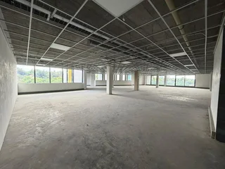 Prime Office Space to Let – 41 Scott Street, Waverley, Johannesburg