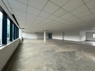 Prime Office Space to Let – 41 Scott Street, Waverley, Johannesburg