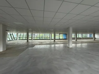 Prime Office Space to Let – 41 Scott Street, Waverley, Johannesburg