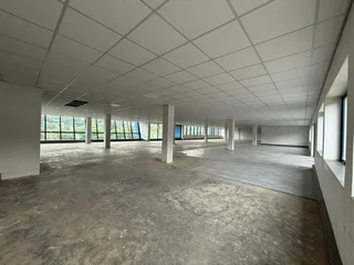 Prime Office Space to Let – 41 Scott Street, Waverley, Johannesburg