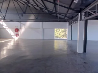 Ultra Clean and Modern Centrally Located Commercial Space on First Floor with abundance of Parking