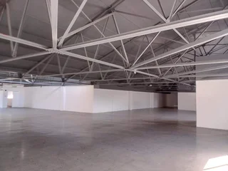 Ultra Clean and Modern Centrally Located Commercial Space on First Floor with abundance of Parking