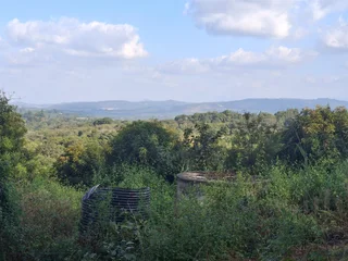 Vacant Small Holding For Sale in Broederstroomdrift AH, Tzaneen Rural, Tzaneen