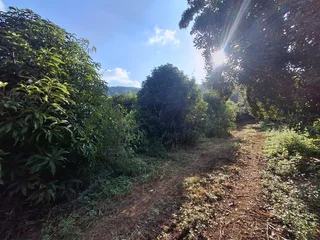 Vacant Small Holding For Sale in Broederstroomdrift AH, Tzaneen Rural, Tzaneen