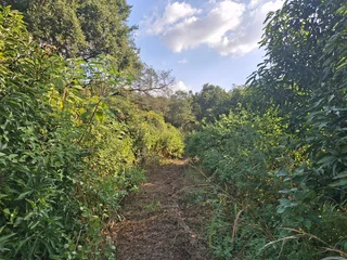 Vacant Small Holding For Sale in Broederstroomdrift AH, Tzaneen Rural, Tzaneen