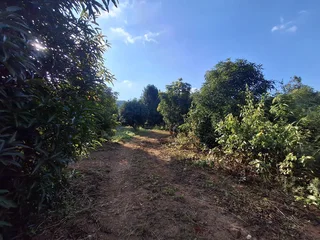 Vacant Small Holding For Sale in Broederstroomdrift AH, Tzaneen Rural, Tzaneen