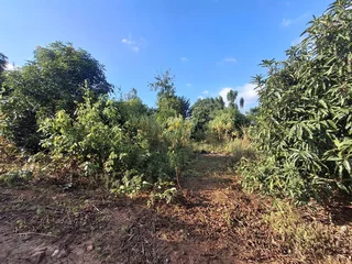 Vacant Small Holding For Sale in Broederstroomdrift AH, Tzaneen Rural, Tzaneen