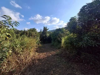 Vacant Small Holding For Sale in Broederstroomdrift AH, Tzaneen Rural, Tzaneen