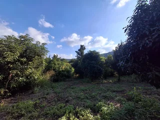 Vacant Small Holding For Sale in Broederstroomdrift AH, Tzaneen Rural, Tzaneen