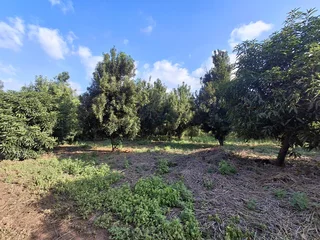 Vacant Small Holding For Sale in Broederstroomdrift AH, Tzaneen Rural, Tzaneen