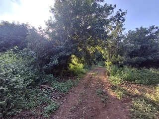 Vacant Small Holding For Sale in Broederstroomdrift AH, Tzaneen Rural, Tzaneen