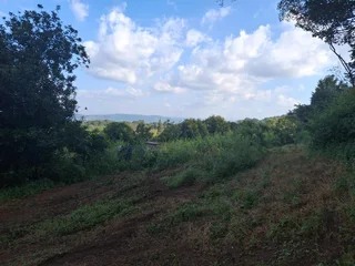 Vacant Small Holding For Sale in Broederstroomdrift AH, Tzaneen Rural, Tzaneen