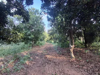 Vacant Small Holding For Sale in Broederstroomdrift AH, Tzaneen Rural, Tzaneen