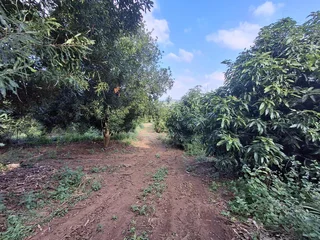 Vacant Small Holding For Sale in Broederstroomdrift AH, Tzaneen Rural, Tzaneen