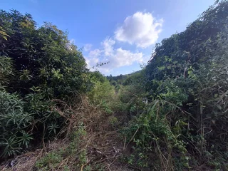 Vacant Small Holding For Sale in Broederstroomdrift AH, Tzaneen Rural, Tzaneen