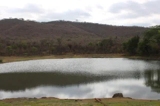 Farm For Sale in Tzaneen Rural, Tzaneen
