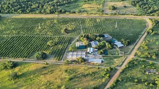 Farm For Sale in Tzaneen Rural, Tzaneen