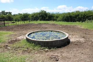 Livestock Farm For Sale in Soekmekaar, Limpopo