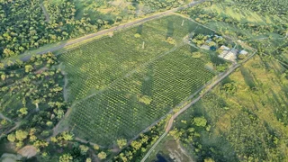 Farm For Sale in Tzaneen Rural, Tzaneen