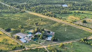 Farm For Sale in Tzaneen Rural, Tzaneen