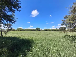 Livestock Farm For Sale in Soekmekaar, Limpopo