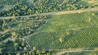 Farm For Sale in Tzaneen Rural, Tzaneen