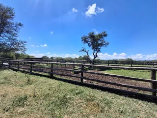 Livestock Farm For Sale in Soekmekaar, Limpopo
