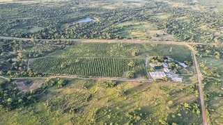 Farm For Sale in Tzaneen Rural, Tzaneen