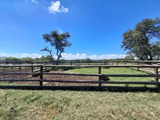 Livestock Farm For Sale in Soekmekaar, Limpopo