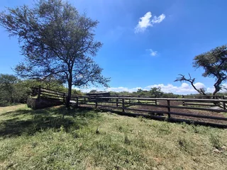 Livestock Farm For Sale in Soekmekaar, Limpopo