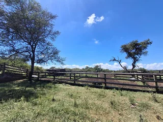 Livestock Farm For Sale in Soekmekaar, Limpopo