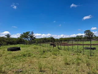 Livestock Farm For Sale in Soekmekaar, Limpopo