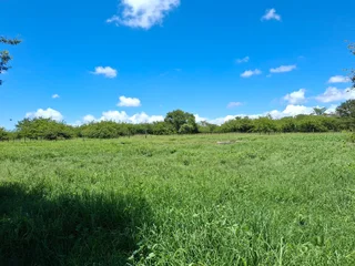 Livestock Farm For Sale in Soekmekaar, Limpopo