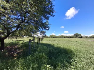 Livestock Farm For Sale in Soekmekaar, Limpopo