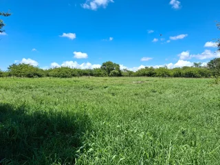 Livestock Farm For Sale in Soekmekaar, Limpopo