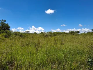 Livestock Farm For Sale in Soekmekaar, Limpopo