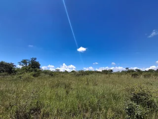 Livestock Farm For Sale in Soekmekaar, Limpopo