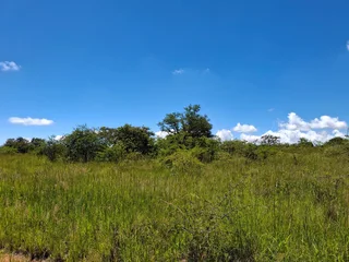 Livestock Farm For Sale in Soekmekaar, Limpopo