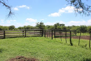 Livestock Farm For Sale in Soekmekaar, Limpopo