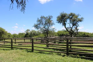 Livestock Farm For Sale in Soekmekaar, Limpopo
