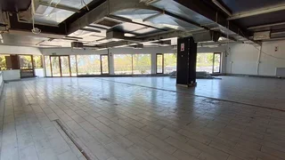 429sqm Prime Morningside Office Space for Rent with Stunning Views in Morningside