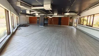 429sqm Prime Morningside Office Space for Rent with Stunning Views in Morningside