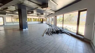 429sqm Prime Morningside Office Space for Rent with Stunning Views in Morningside